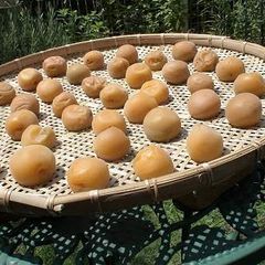 A picture of Low Sodium Pickled Plums- How to Dry Kanto pickled Plums (White Pickled Plums).