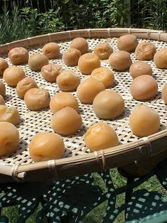A picture of Low Sodium Pickled Plums- How to Dry Kanto pickled Plums (White Pickled Plums).