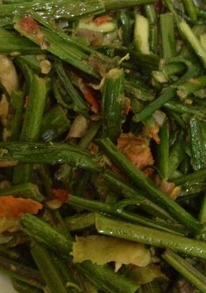 Foto resep Tumis pakis nyak nyus😍