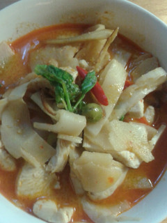 A picture of red curry chickens with pickled bamboo.