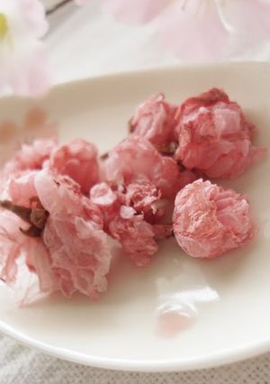 A picture of Salt-Cured Cherry Blossoms.