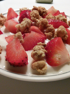A picture of Healthy Homemade Vanilla Greek Yogurt.