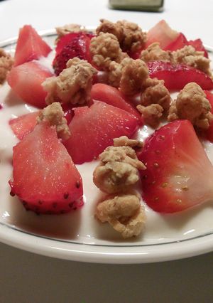 A picture of Healthy Homemade Vanilla Greek Yogurt.