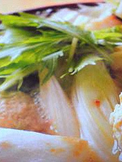 A picture of Delicious Soup Base for Yose Nabe (Mixed Hot Pot).