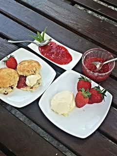 A picture of AMIEs STRAWBERRYJam.