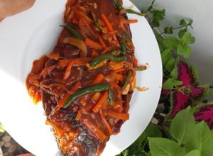 Foto resep Ikan saus metega