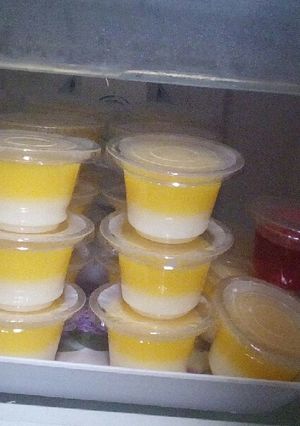 Foto resep Pudding Jelly Two Tone