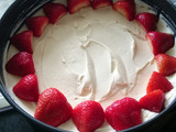 No Bake Cheesecake