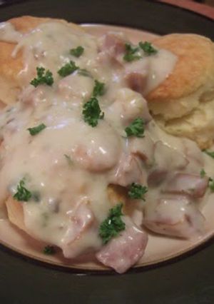 A picture of Sausage Gravy.