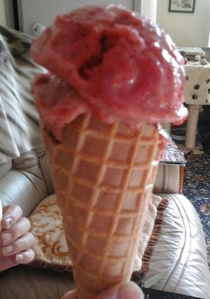 A picture of Irmgards Strawberry Pavlova ice cream/sorbet low calorie.