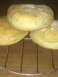 Galletas de campo