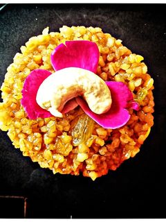 ફાડા લાપસી (Fada Lapsi Recipe In Gujarati) રેસીપી મુખ્ય ફોટો