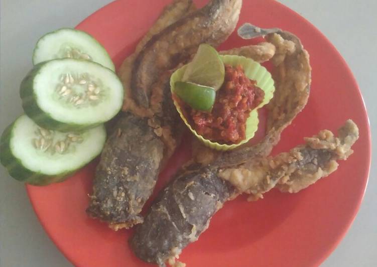 Lele Terbang Krispi Ala Emak Salsa