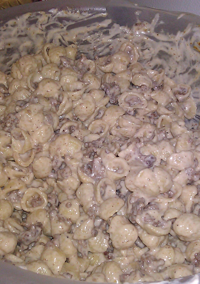 A picture of Beef Stroganoff.