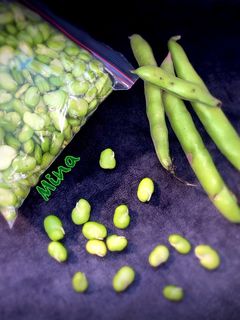 عکسی از دستور فریز کردن باقالا(باقالی)