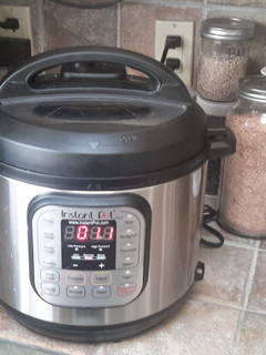 A picture of Homemade Yogurt (in an Instant Pot).