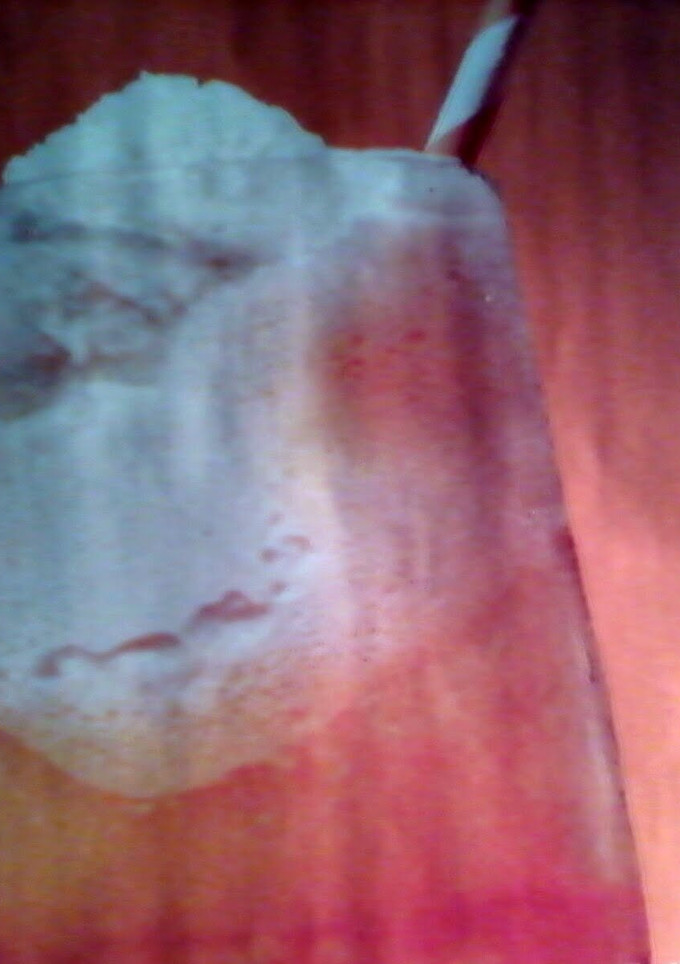 A picture of Orange Cream Float.