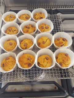 A picture of Chocolate chip pumpkin muffins.