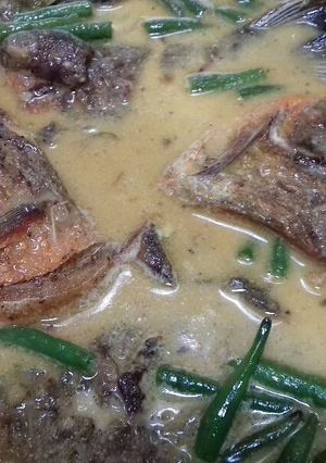 Foto resep Ikan bawal Kacang panjang di santan