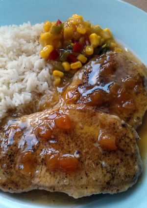 A picture of Vickys 5 Spice Pork w Sweet & Sour Apricot Sauce, GF DF EF SF NF.