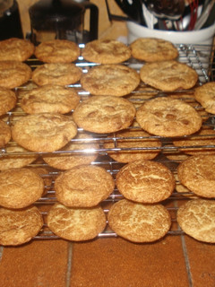A picture of Snickerdoodles.