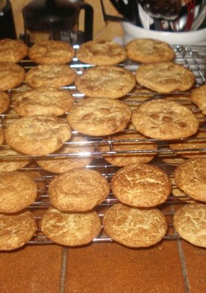 A picture of Snickerdoodles.
