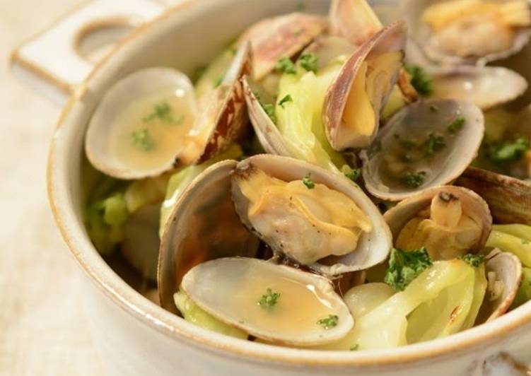 Recipe of Homemade Sake-steamed Clams and Cabbage