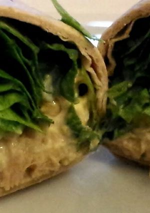 A picture of Tuna Salad Wrap.