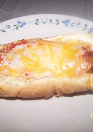 A picture of Italian Sausage Dog.