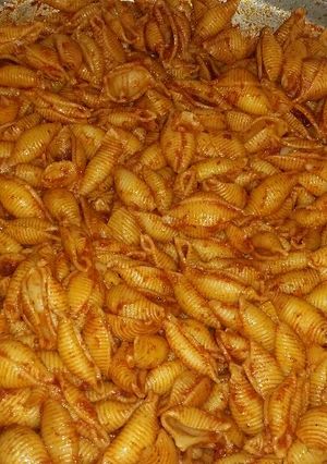 صورة لوصفة مكرونة اصداف