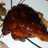 Baked BBQ Chicken