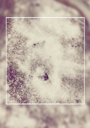 صورة لوصفة سوفليه سريع وسهل