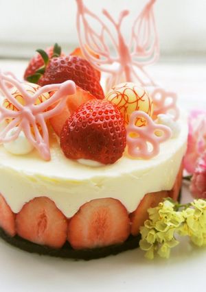 A picture of Fraisier Style No-bake Cheesecake.