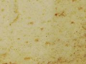 Una foto de bizcochuelo con stevia