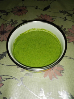 A picture of Indian Mint chutney.
