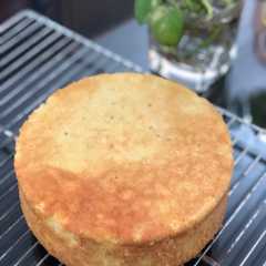 A picture of Vanilla Sponge Cake.