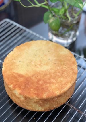 Foto resep Vanilla Sponge Cake
