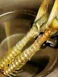 Pacific Saury Bones Soaked in Sake (Horse Mackerel or Sardines are OK too)