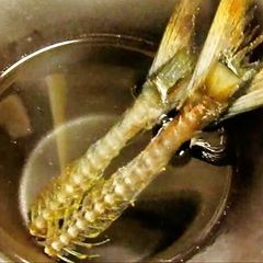 A picture of Pacific Saury Bones Soaked in Sake (Horse Mackerel or Sardines are OK too).