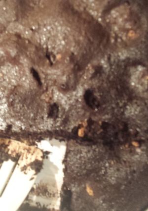 A picture of Peanut Butter Oreo Brownies.