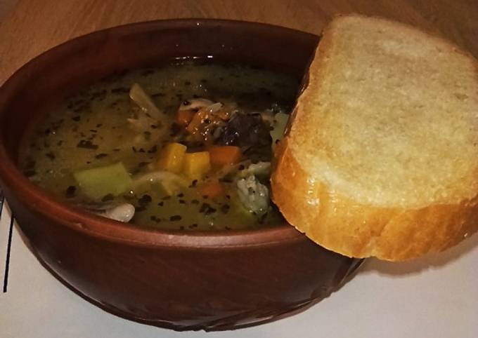 Суп из утки – простые рецепты блюда из дикой и домашней птицы