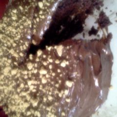 A picture of Devils food smores cake.