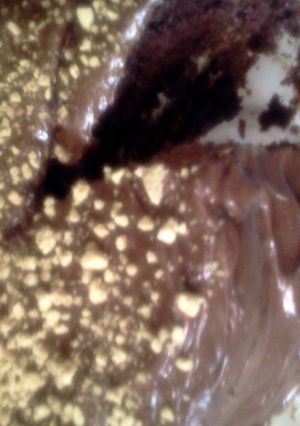 A picture of Devils food smores cake.