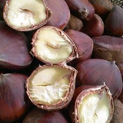 A picture of How to Make Delicious Boiled Chestnuts.