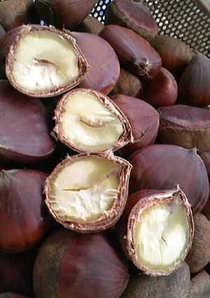 A picture of How to Make Delicious Boiled Chestnuts.