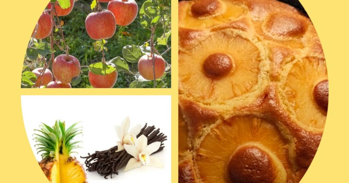 Gateau Aux Pommes Caramelisees Et Ananas Vanille De Jeanne Cookpad