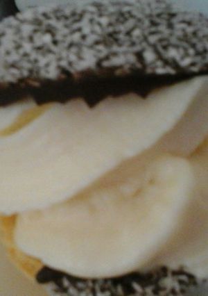 A picture of Irmgards Vanilla ice cream lower fat yummy soft serve.