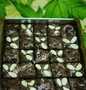 Cara Mudah Membuat Resep Brownies fudgy shiny sekat yang Enak Banget Anti Ribet, Bisa Manjain Lidah