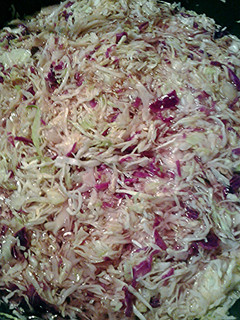 A picture of sweet and sour cabbage.