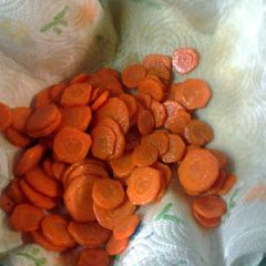 A picture of fried carrot chips.